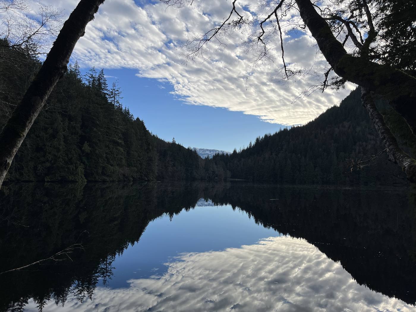 Quiet morning light, a reflection on stillness